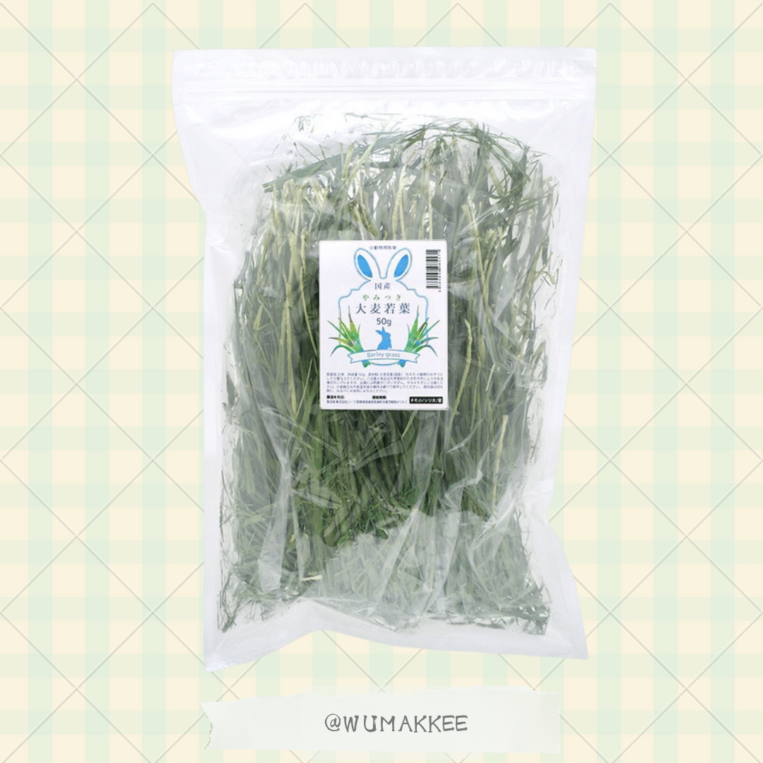 國產 Leaf Corp Barley Grass 大麥嫩葉 50g