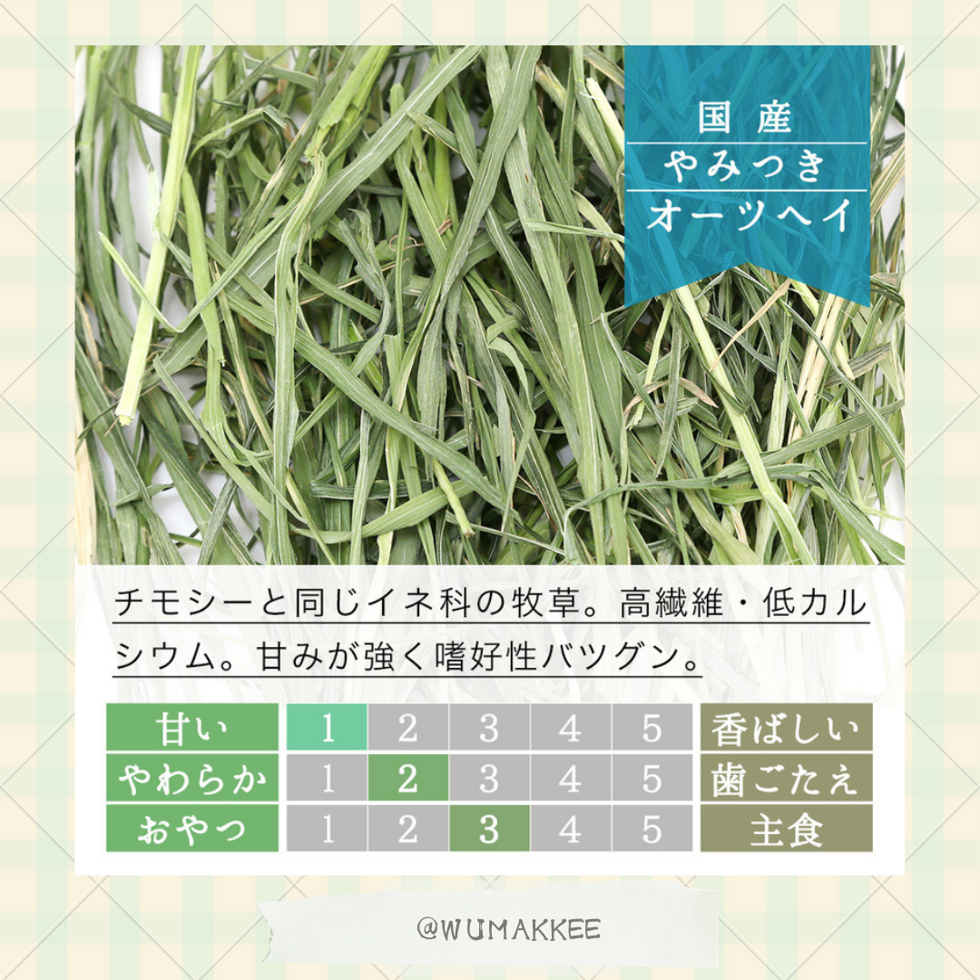 國產 Leaf Corp Oat Hay 高纖燕麥草