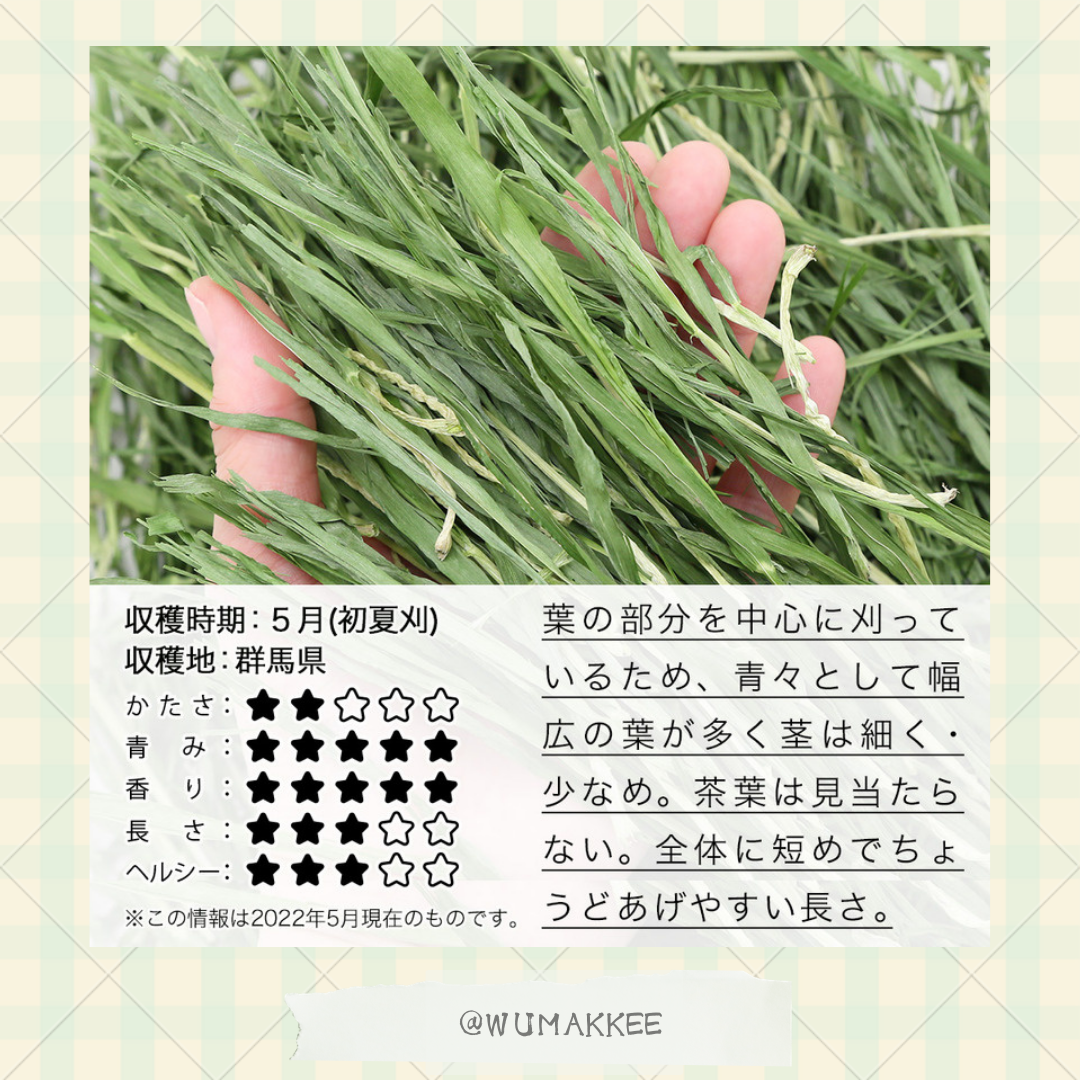 國產 Leaf Corp Barley Grass 大麥嫩葉