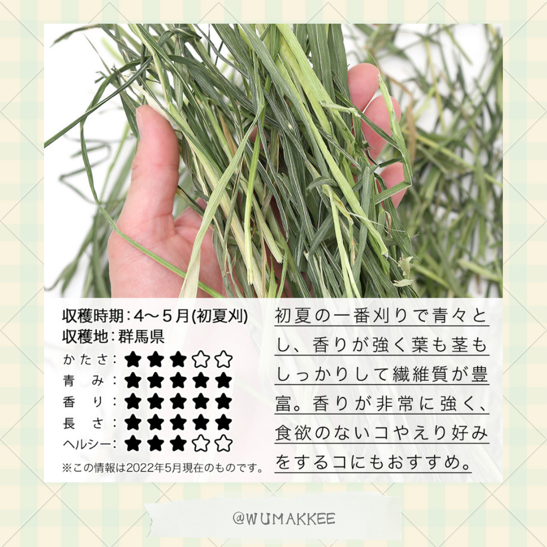 國產 Leaf Corp Oat Hay 高纖燕麥草