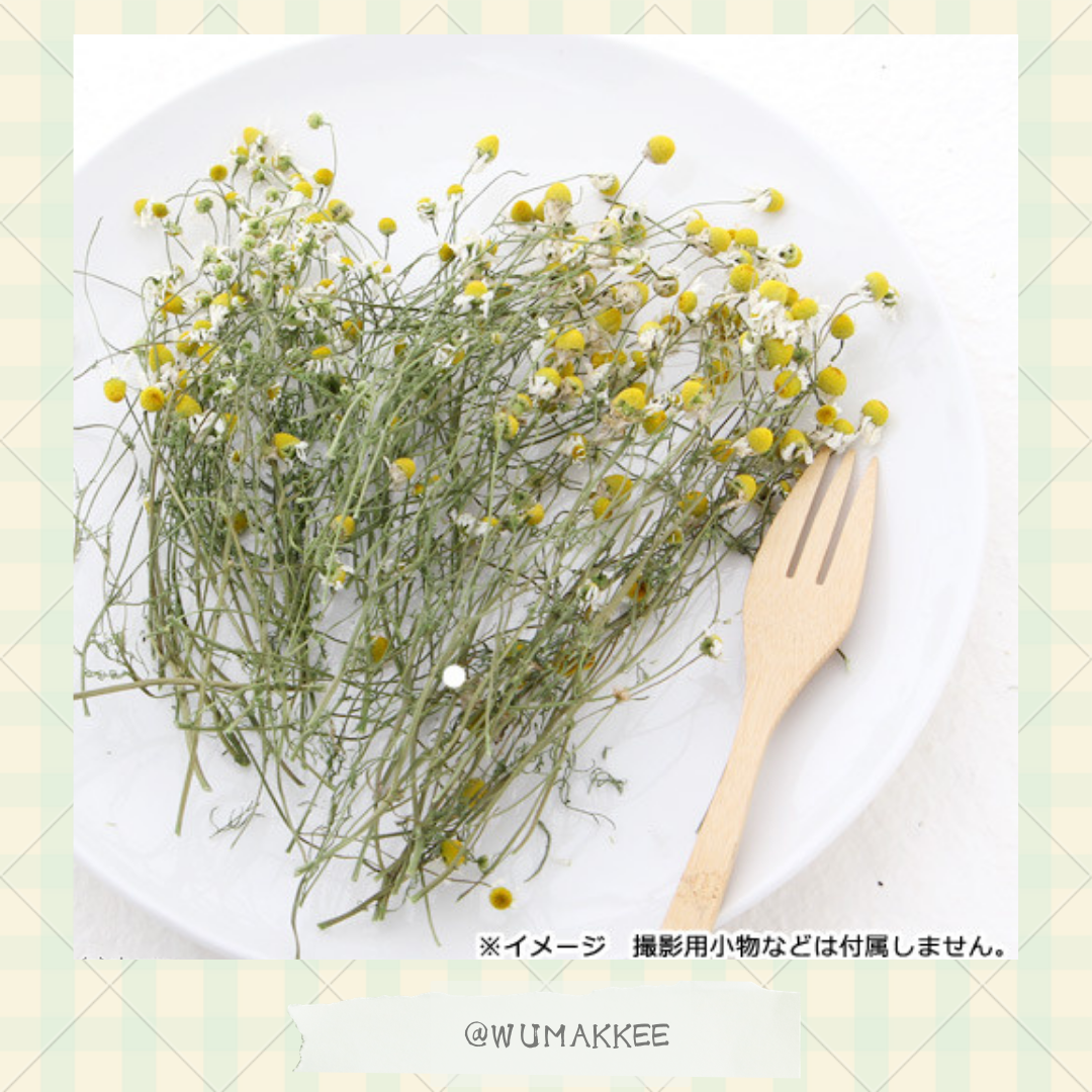 日本產 Leaf Corp Usayama 洋甘菊 10g