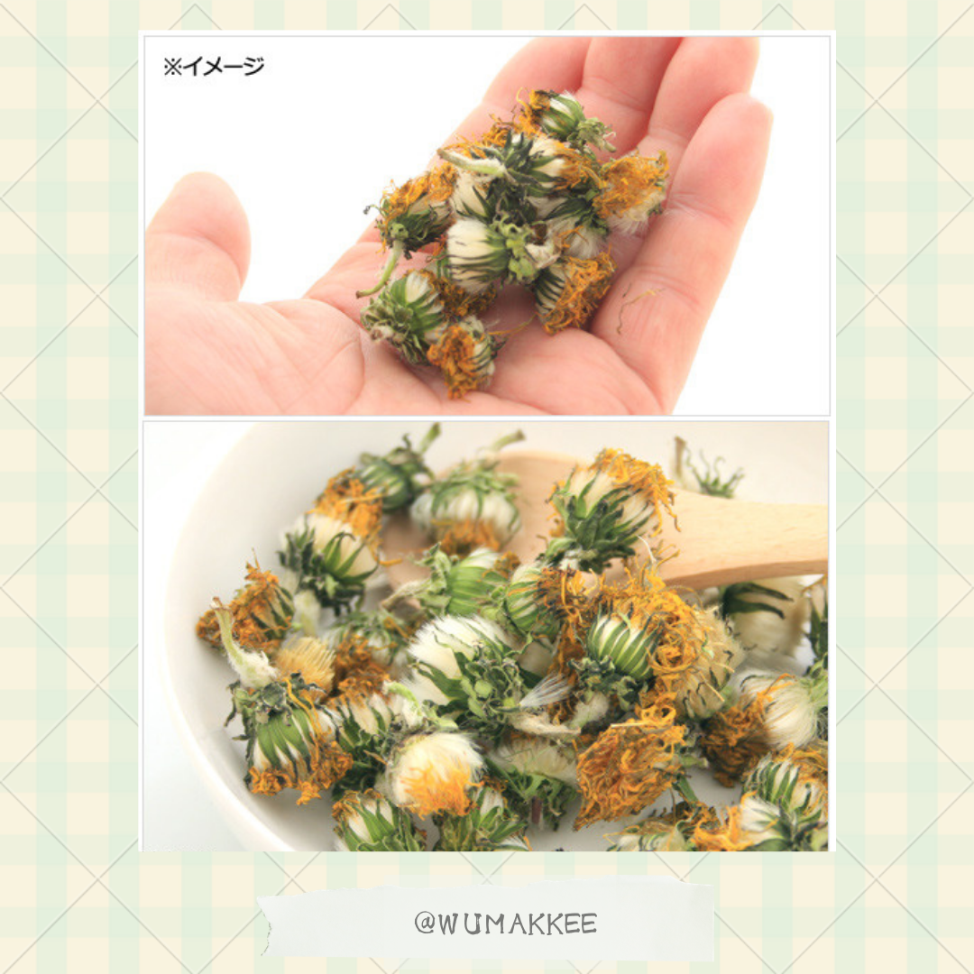 日本產 Leaf Corp Usayama 蒲公英花 3g