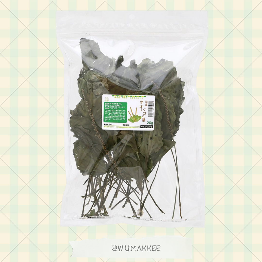 日本產 Leaf Corp Usayama 車前草葉 20g