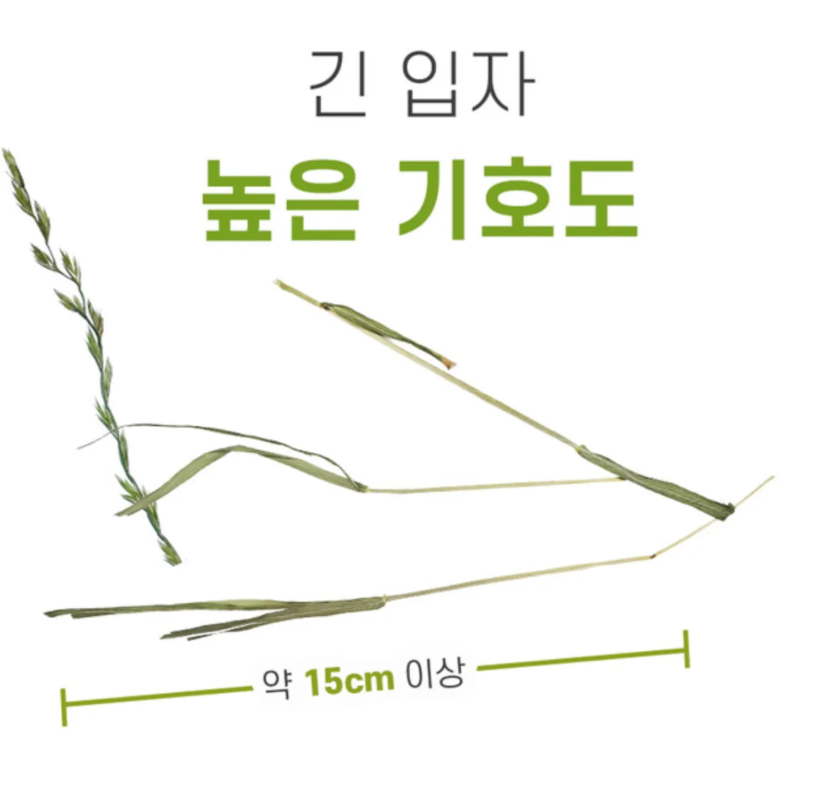 🆕 韓國產 HASSY 黑麥草 400g