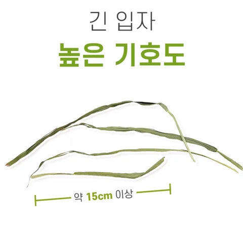 🆕 韓國產 HASSY 燕麥草 400g