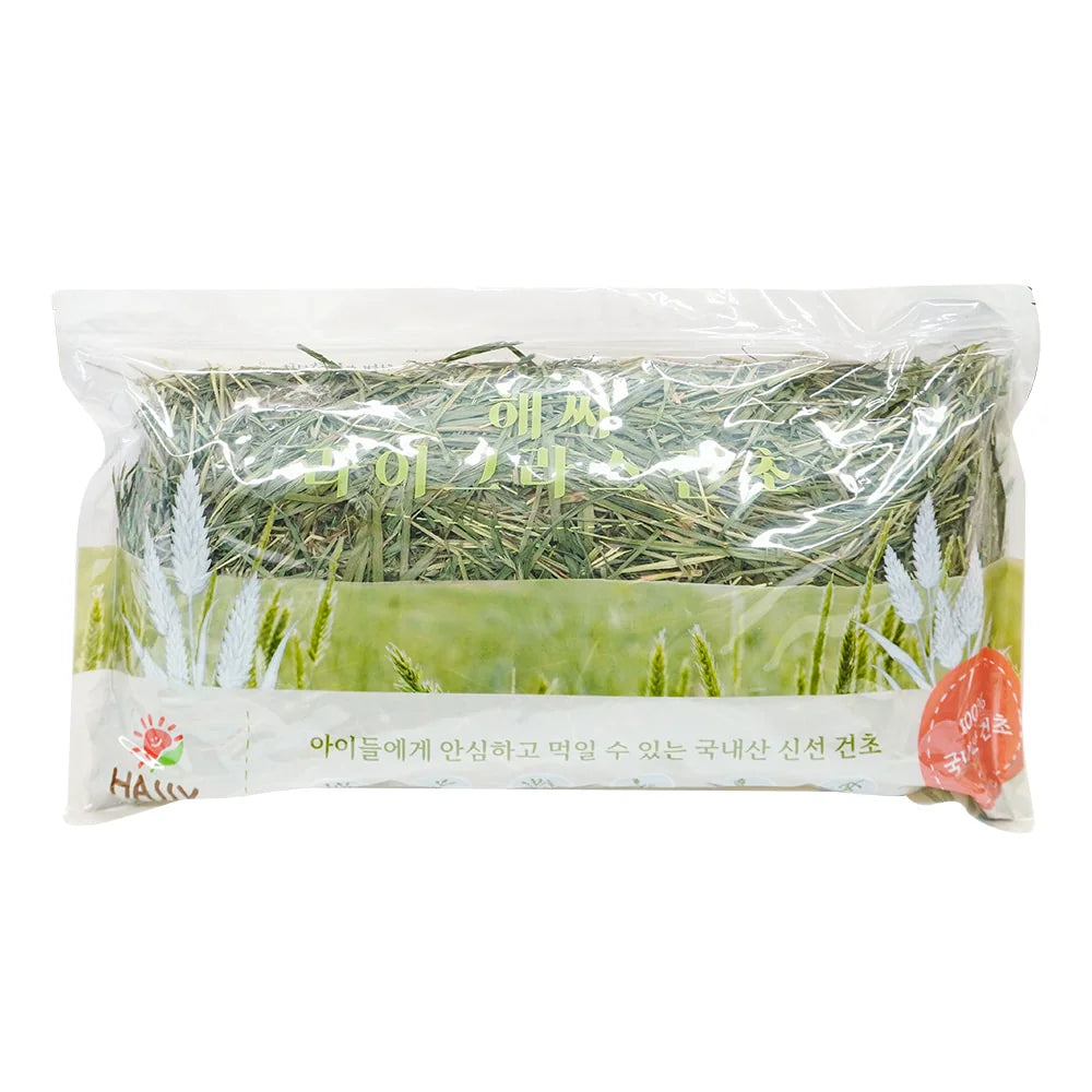 🆕 韓國產 HASSY 黑麥草 400g