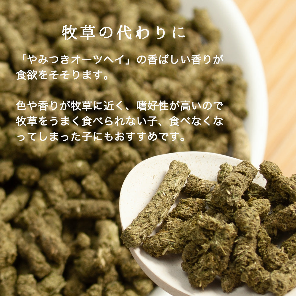 日本產 Leaf Corp 上癮燕麥草顆粒 100g