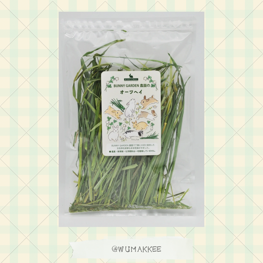 🆕[2025春刈]日本產 Bunny Garden 農園牧草系列  燕麥草 40g / 100g