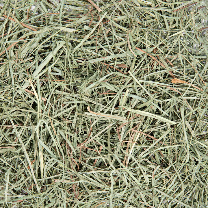 [期間限定] 日本 Orimitsu Select Orchard Grass 果樹草 600g