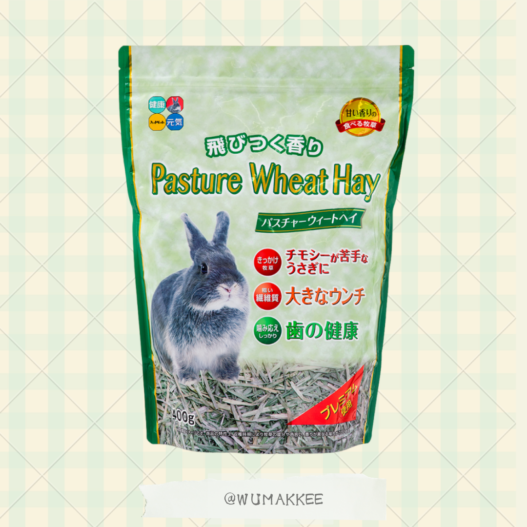 日本 Hipet Pasture Wheat Hay 乾小麥草 400g