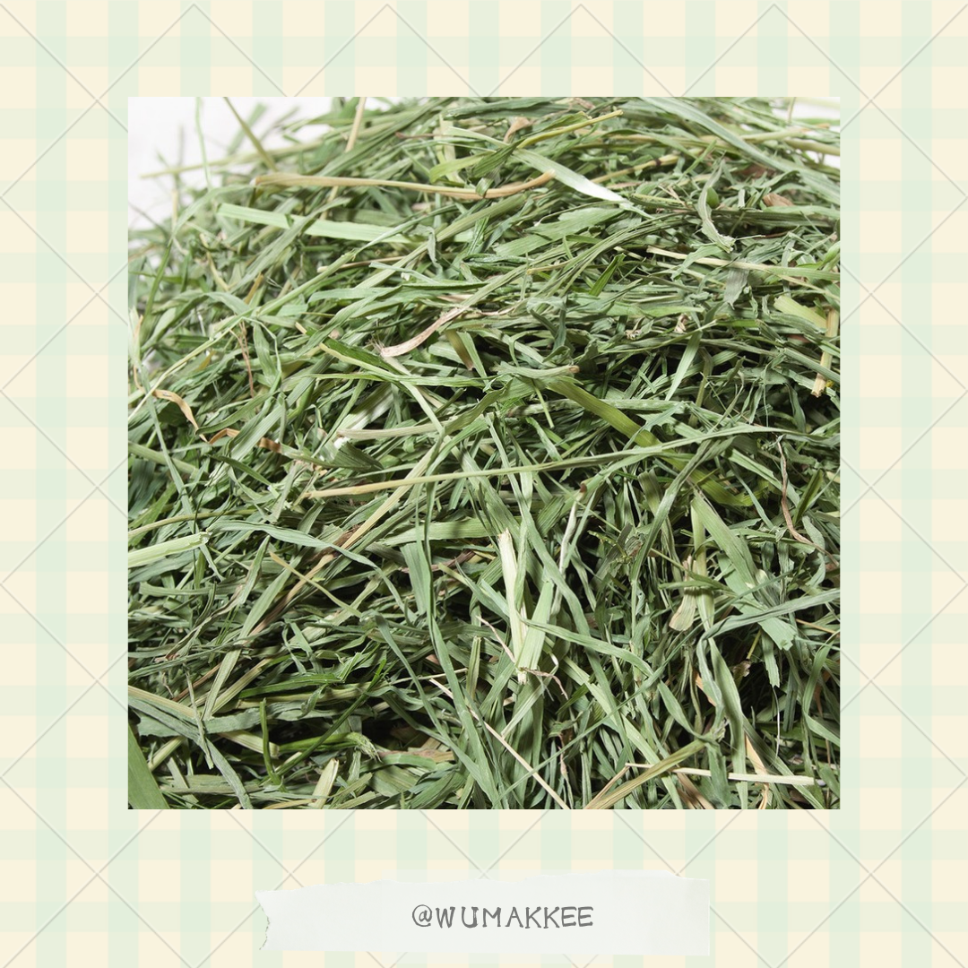 日本產 Leaf Corp 提摩西草mix意大利黑麥草 (短身) 200g – WuMakKee