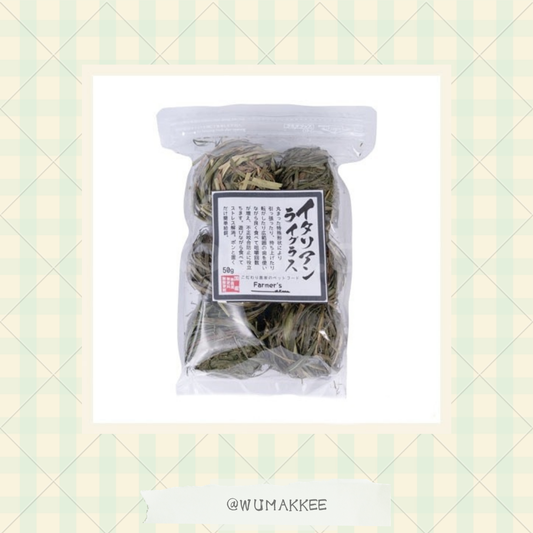 🆕日本產 牧草専門農場 MAKITA 意大利黑麥草の草團子 50g