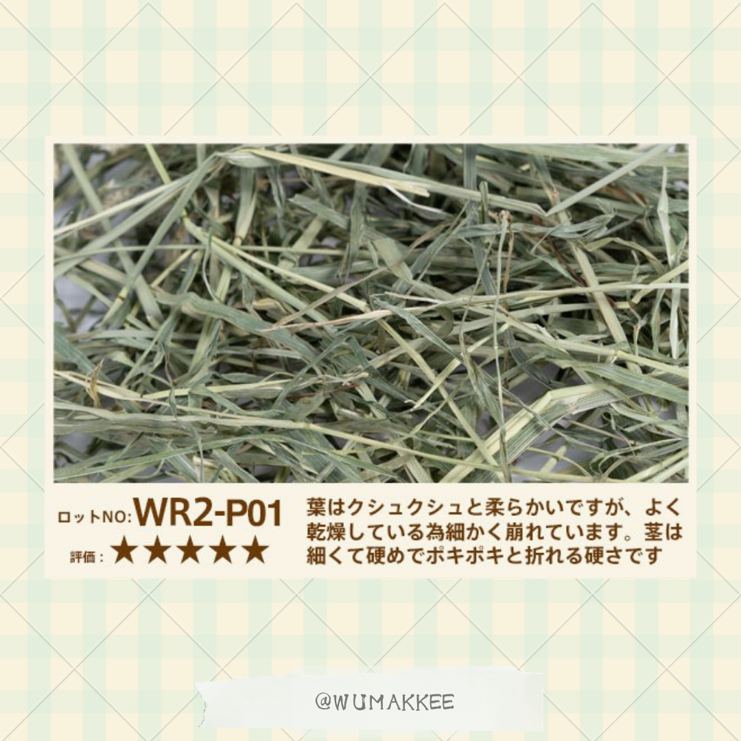 粉塵去除✨日本版 WARD RUGH Super Premium 2nd cut Timothy 提摩西草 600g
