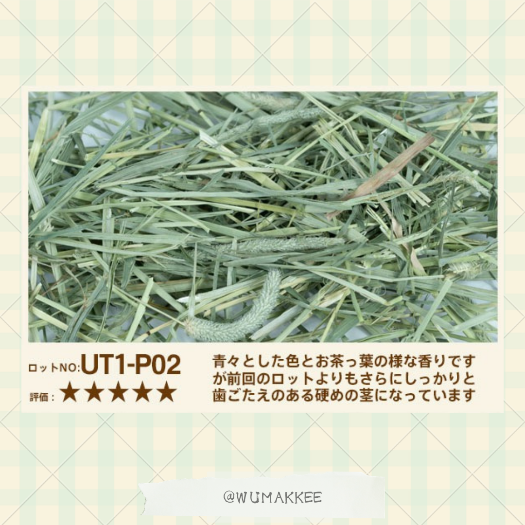 日本 USACHIMO 1st cut Timothy 提摩西草 