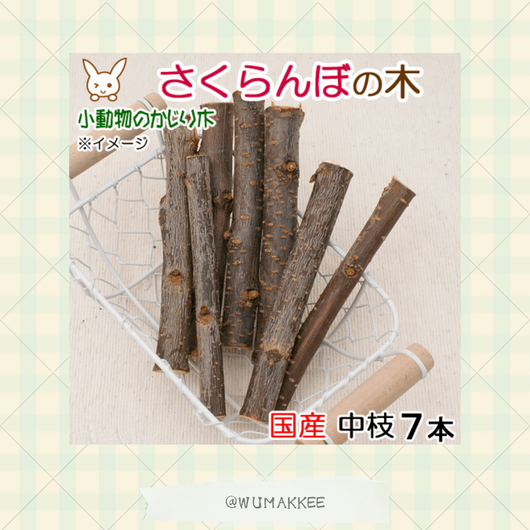 日本產 Leaf Corp Usayama 天然櫻桃樹木 (7枝裝)